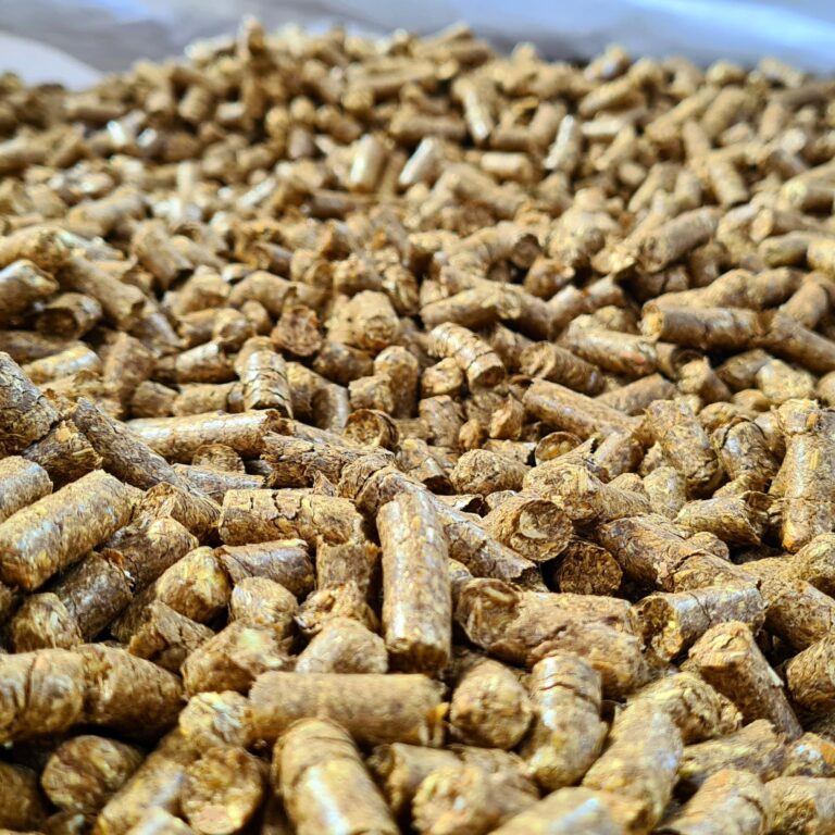 20210427_151616 — kopia